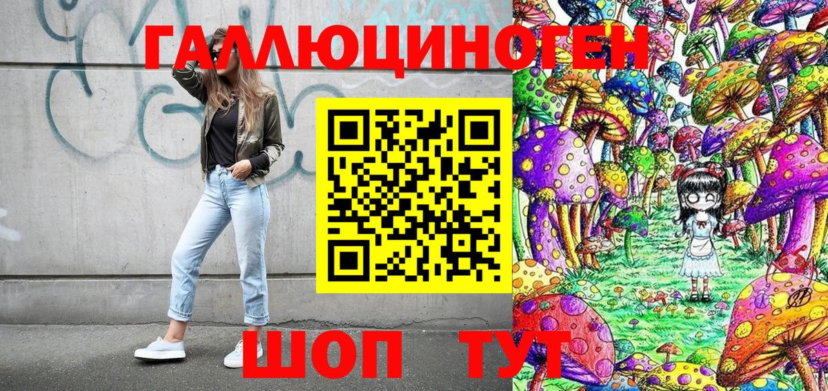 Псилоцибиновые грибы MAGIC MUSHROOMS  Вход с VPN  Москва 