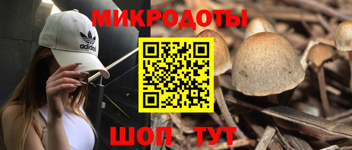 Галлюциногенные грибы прущие грибы Москва